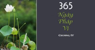 365 ngày pháp vị chương 4