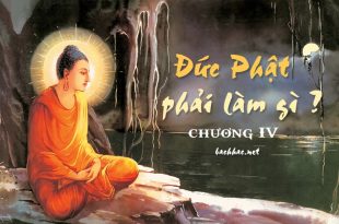 Đức Phật Phải Làm Gi