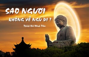 sao người không về ngủ đi