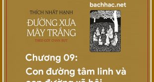 con đường mây trắng