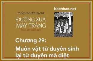 chuong 29