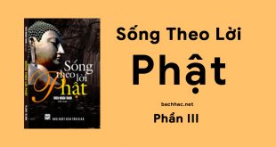 sống theo lời phật