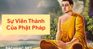 Sự Viên Thành Của Phật Pháp