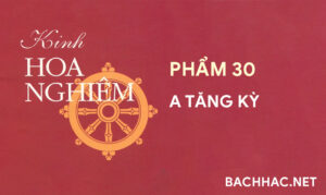 Kinh Hoa Nghiêm - Phẩm 30 - A TĂNG KỲ