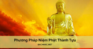 Phương pháp niệm phật thành tựu